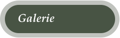 Galerie