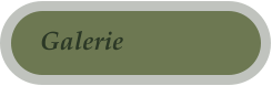Galerie