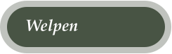 Welpen