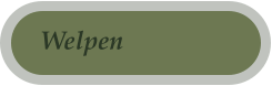 Welpen